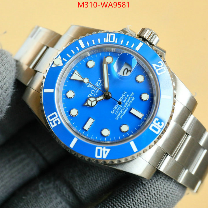 ID: WA9581