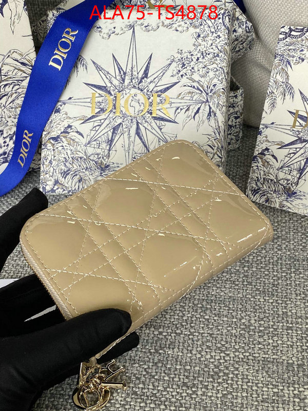 ID: TS4878 $: 75USD,