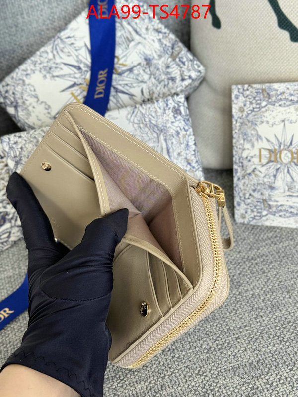 ID: TS4787 $: 99USD,