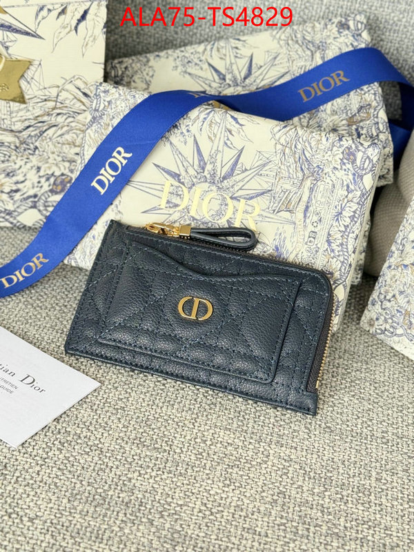 ID: TS4829 $: 75USD,