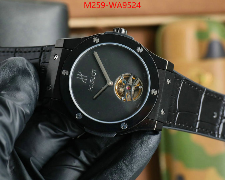 ID: WA9524