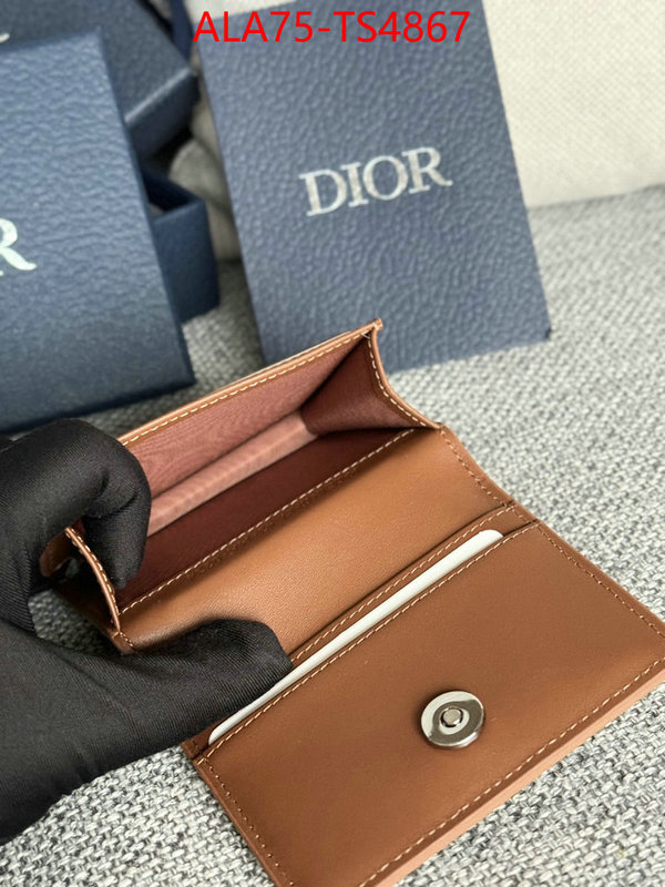 ID: TS4867 $: 75USD,