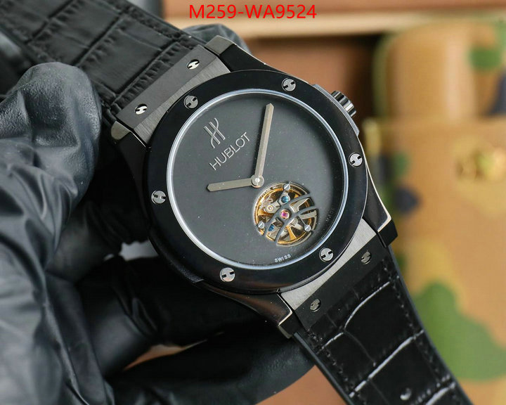 ID: WA9524
