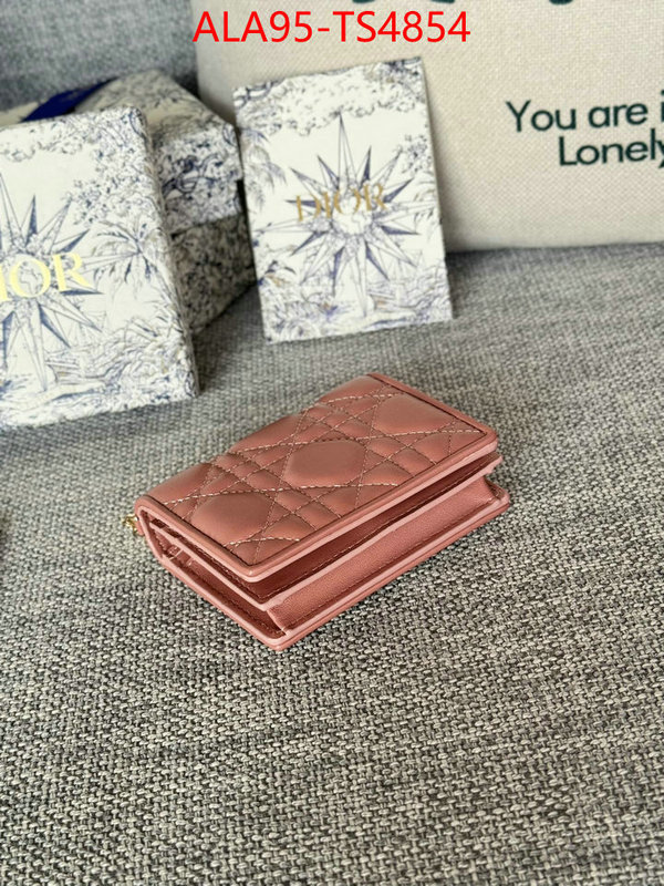 ID: TS4854 $: 95USD,