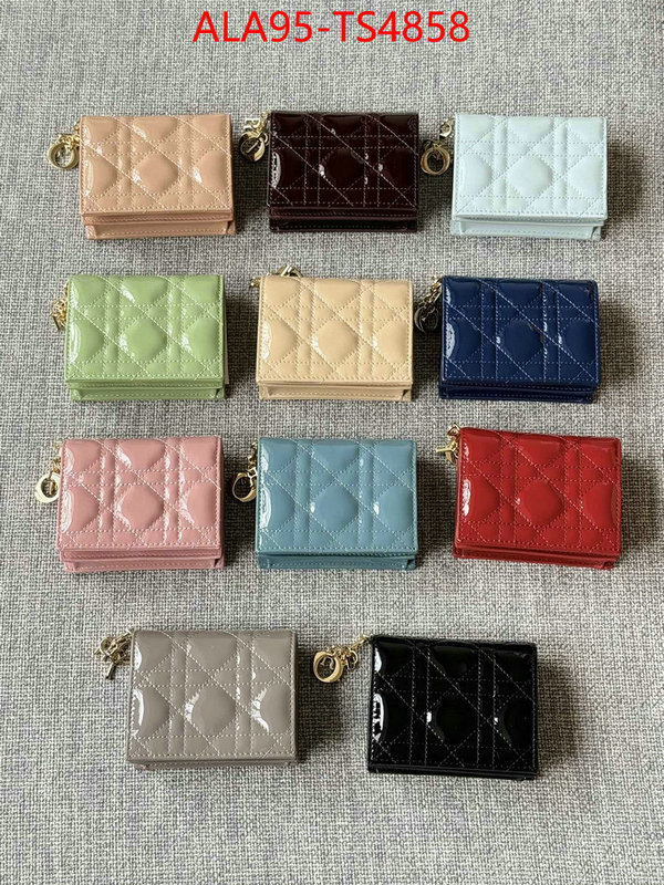 ID: TS4858 $: 95USD,