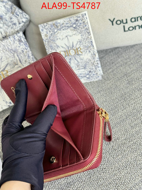 ID: TS4787 $: 99USD,