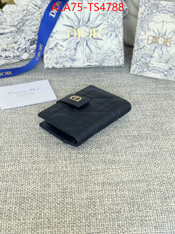 ID: TS4788 $: 75USD,