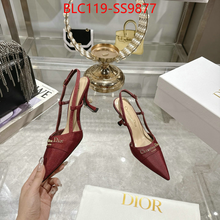 Women Shoes-Dior shop the best high authentic quality replica ID: SS9877 $: 119USD-shoes yupoo Women Shoes-Dior shop the best high authentic quality replica ID: SS9877 $: 119USD