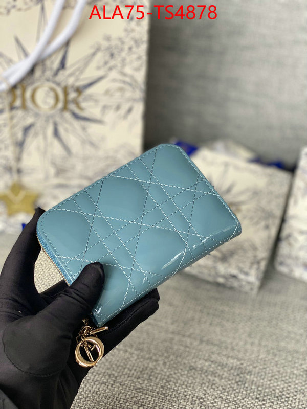 ID: TS4878 $: 75USD,
