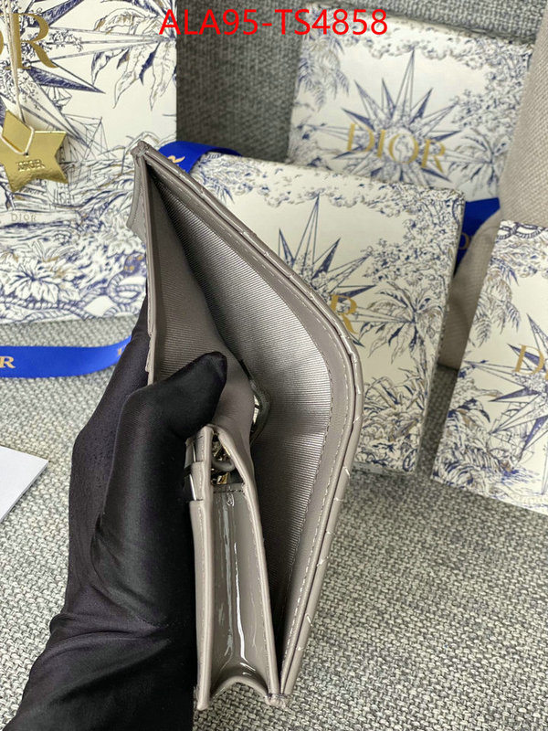 ID: TS4858 $: 95USD,