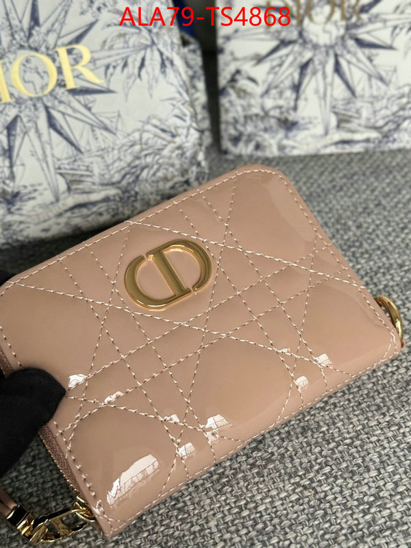 ID: TS4868 $: 79USD,