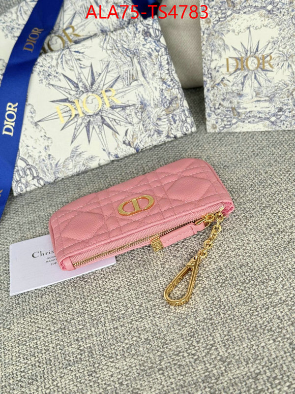 ID: TS4783 $: 75USD,