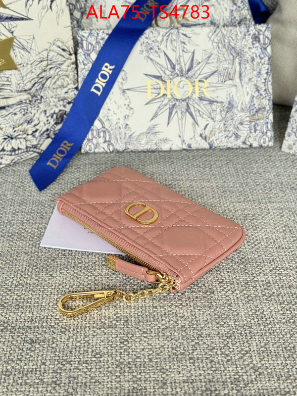 ID: TS4783 $: 75USD,