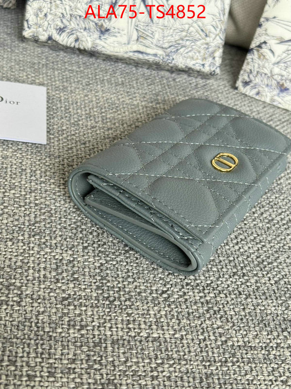 ID: TS4852 $: 75USD,