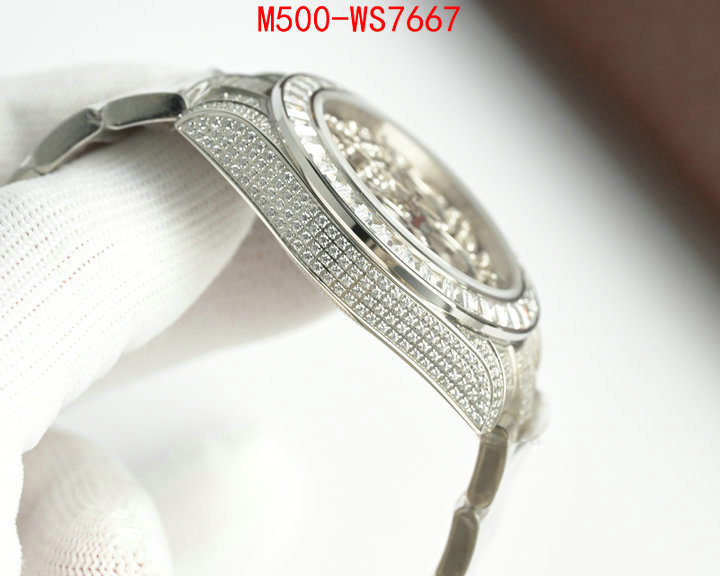 ID: WS7667
