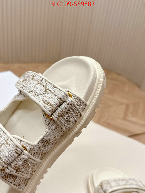 Women Shoes-Dior for sale online ID: SS9883 $: 109USD