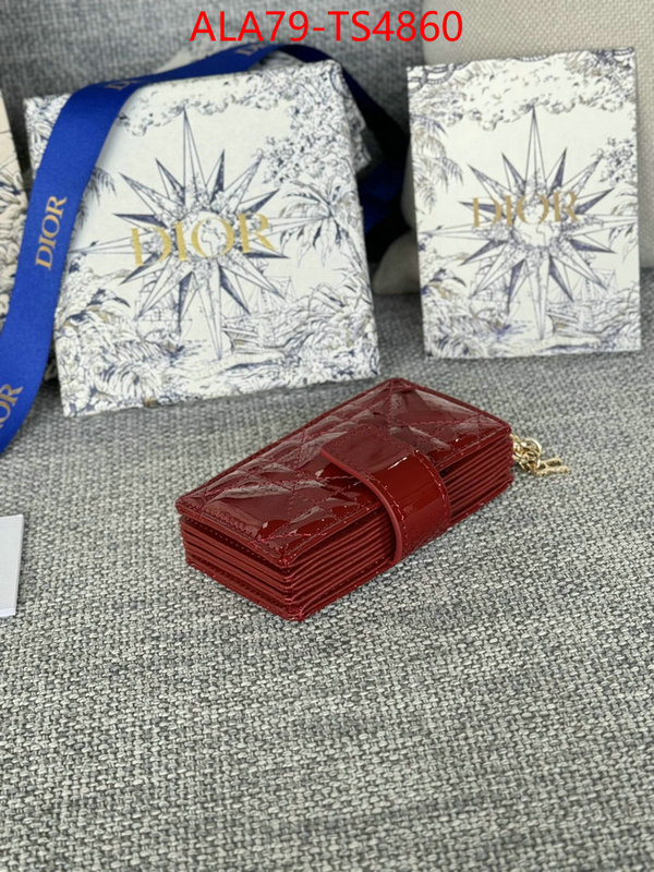ID: TS4860 $: 79USD,