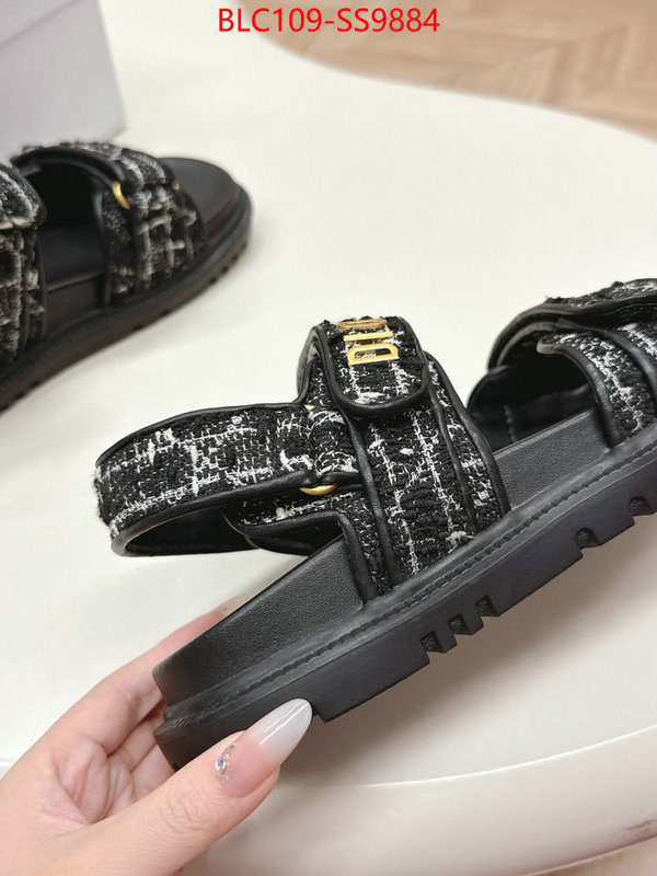 Women Shoes-Dior wholesale 2024 replica ID: SS9884 $: 109USD