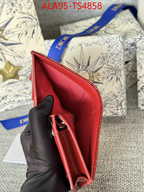 ID: TS4858 $: 95USD,