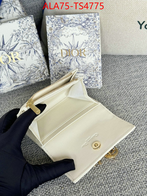 ID: TS4775 $: 75USD,