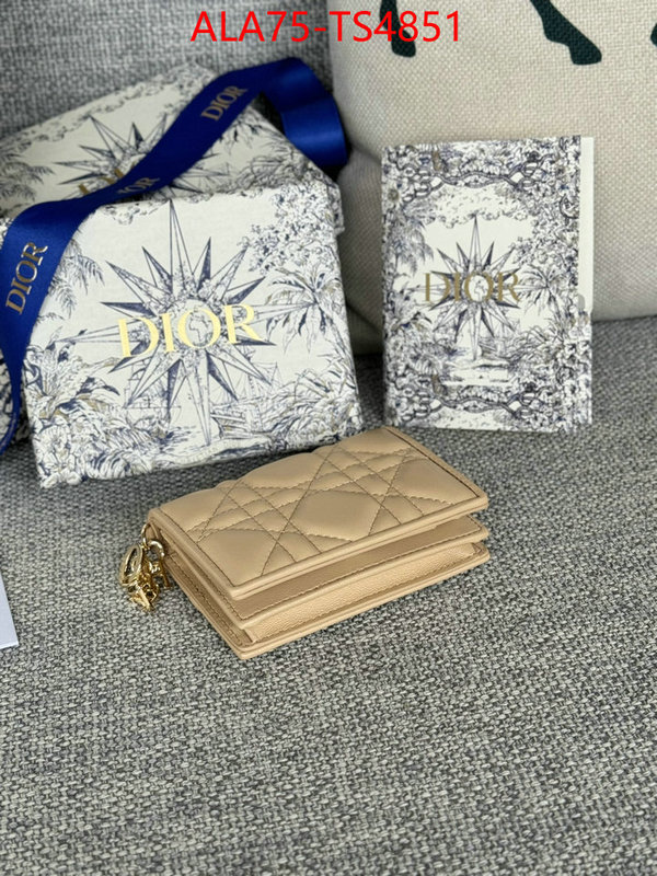 ID: TS4851 $: 75USD,