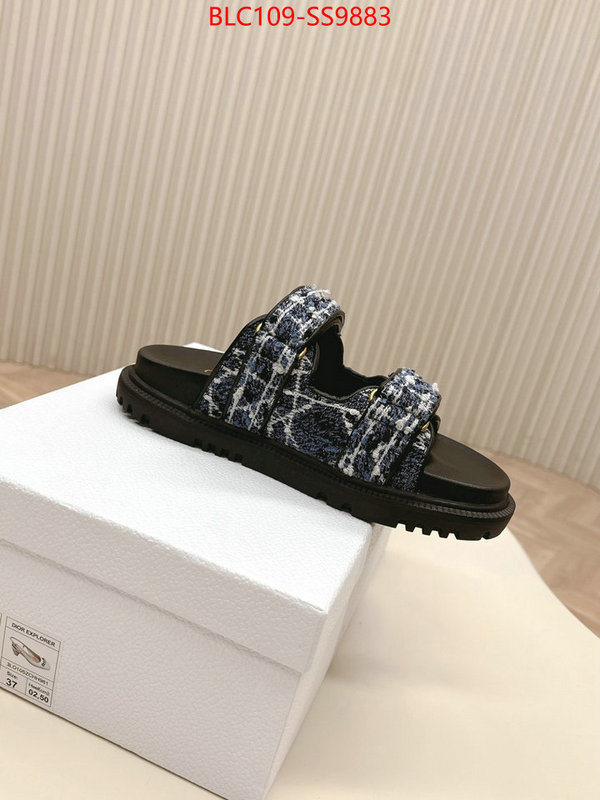 Women Shoes-Dior for sale online ID: SS9883 $: 109USD