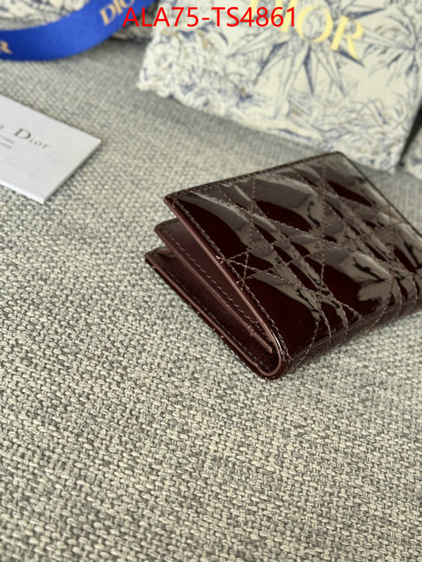 ID: TS4861 $: 75USD,