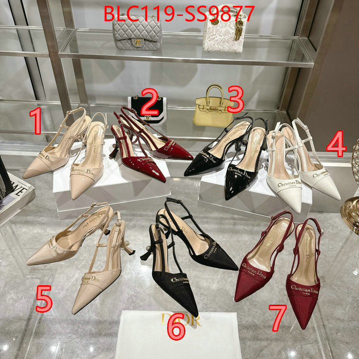Women Shoes-Dior shop the best high authentic quality replica ID: SS9877 $: 119USD-shoes yupoo Women Shoes-Dior shop the best high authentic quality replica ID: SS9877 $: 119USD