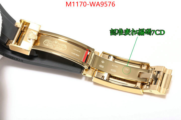 ID: WA9576