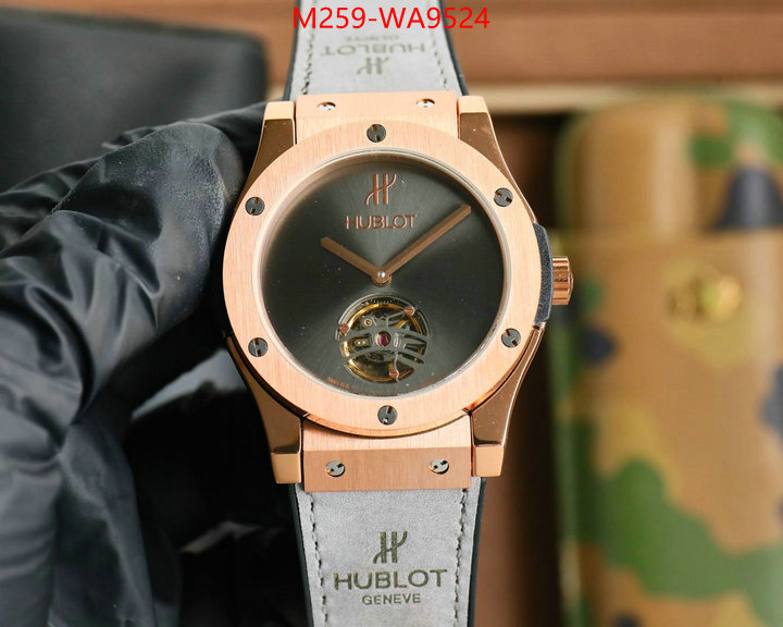 ID: WA9524