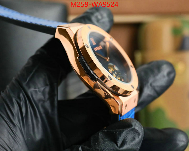 ID: WA9524