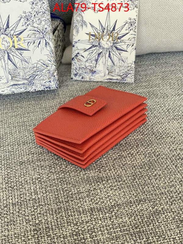 ID: TS4873 $: 79USD,