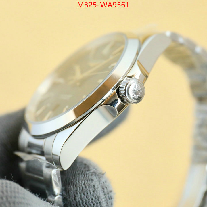 ID: WA9561