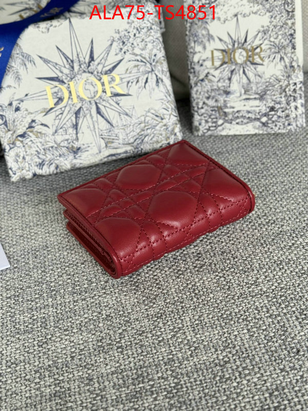 ID: TS4851 $: 75USD,