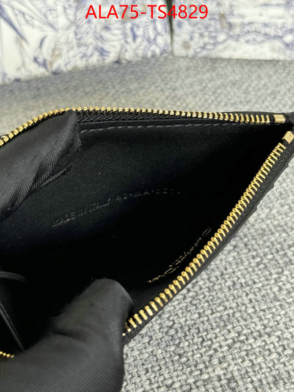 ID: TS4829 $: 75USD,