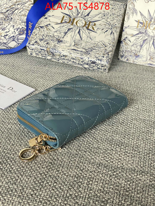 ID: TS4878 $: 75USD,