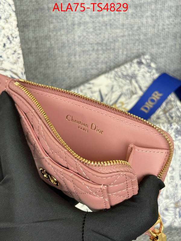 ID: TS4829 $: 75USD,