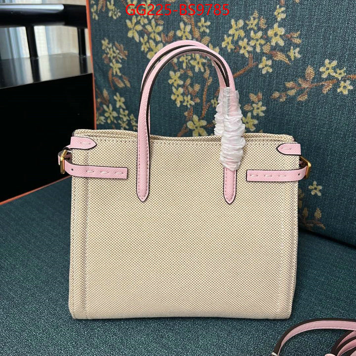 Valentino Bags(TOP)-Handbag- luxury shop ID: BS9785 $: 225USD,