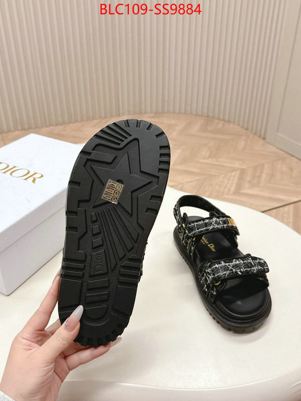 Women Shoes-Dior wholesale 2024 replica ID: SS9884 $: 109USD
