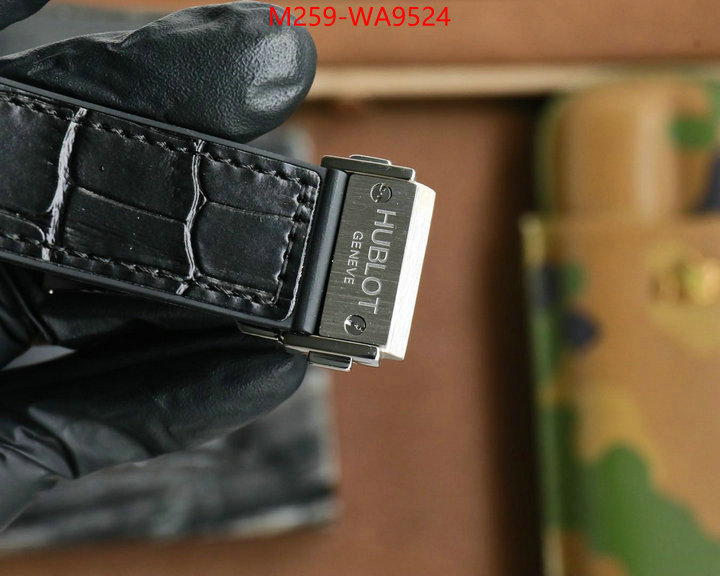 ID: WA9524