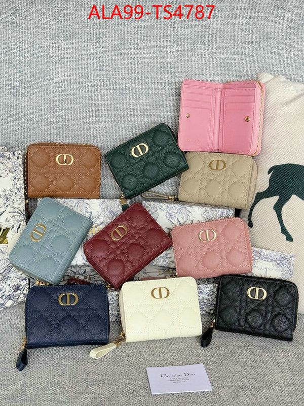 ID: TS4787 $: 99USD,