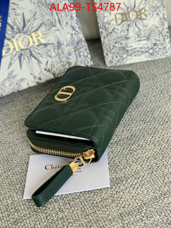 ID: TS4787 $: 99USD,
