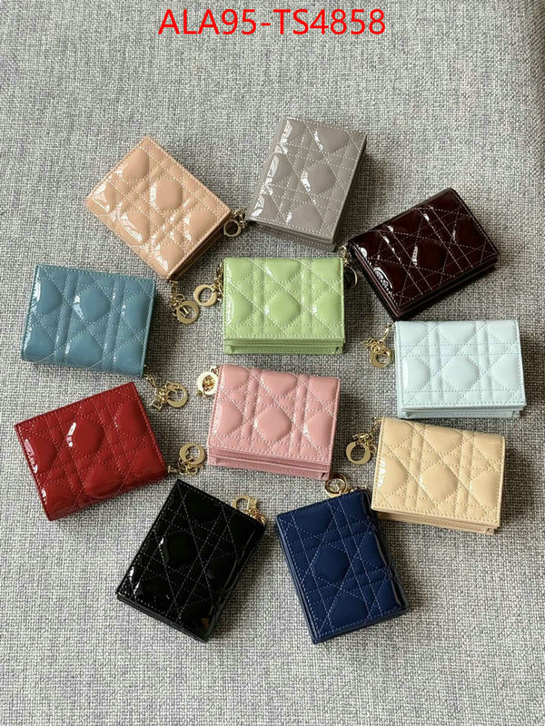 ID: TS4858 $: 95USD,
