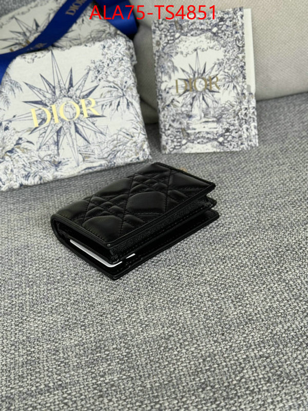 ID: TS4851 $: 75USD,