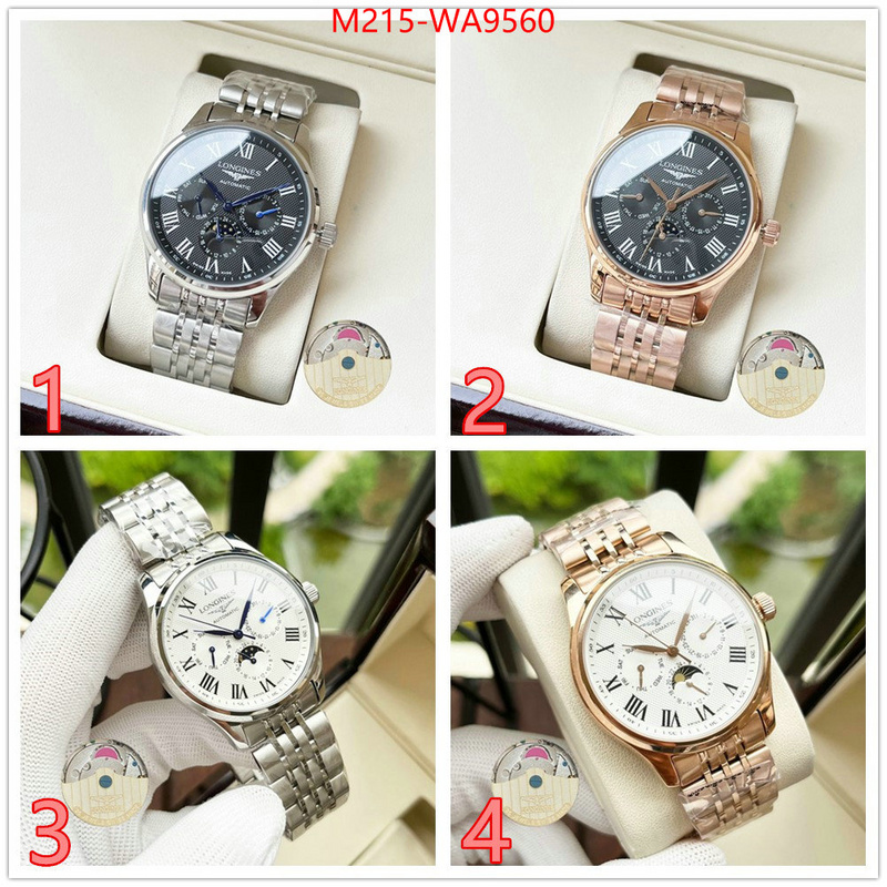 ID: WA9560
