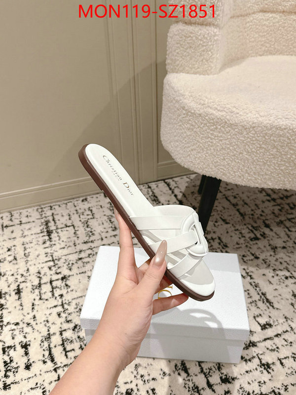 Women Shoes-Dior cheap replica designer ID: SZ1851 $: 119USD