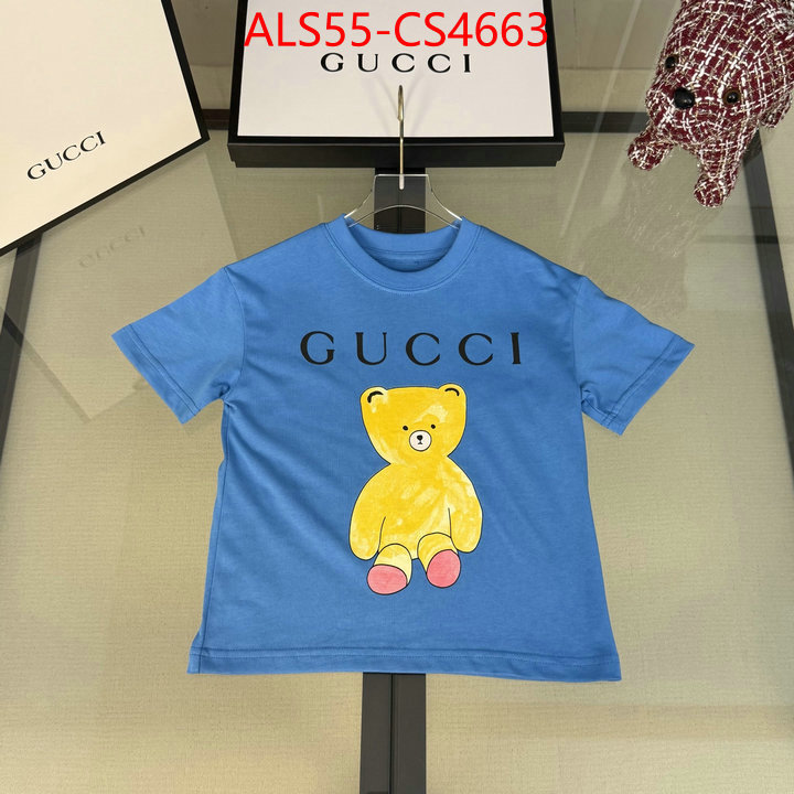 ID: CS4663