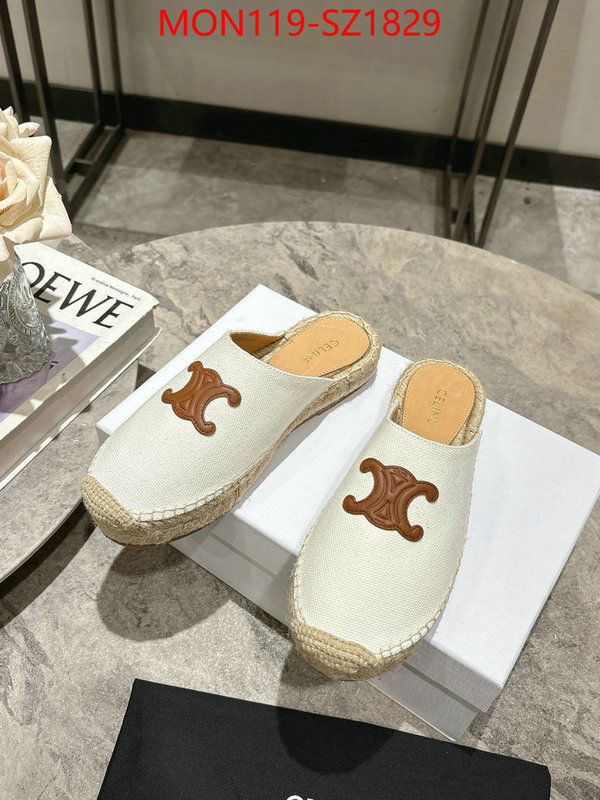 Women Shoes-CELINE what are the best replica ID: SZ1829 $: 119USD