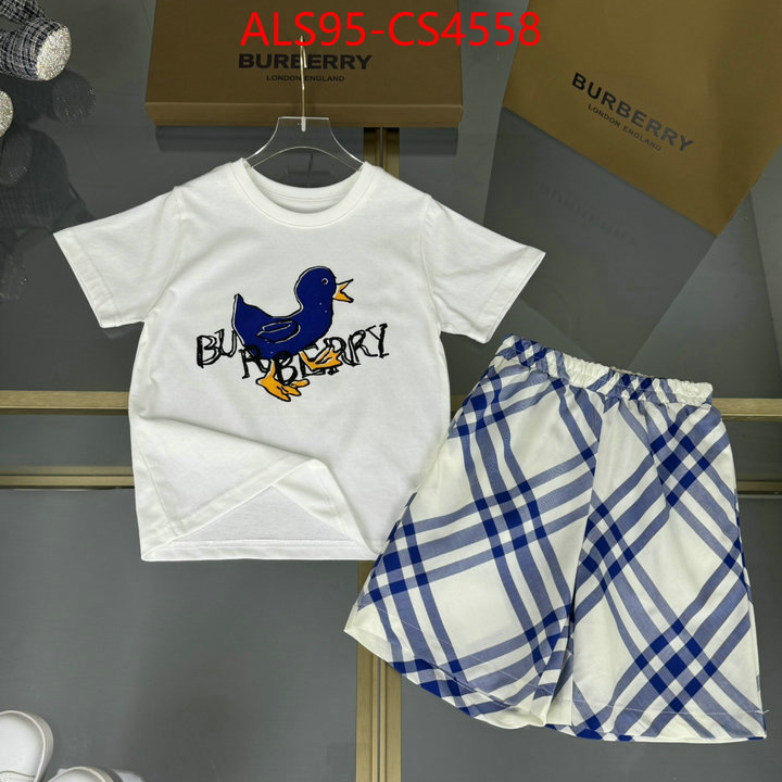 ID: CS4558