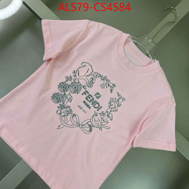 ID: CS4584
